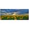 Designart - Beauty Sunset over Sunflowers - Landscape Canvas Art Print